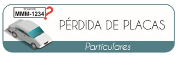 Pérdida o Robo de Placas